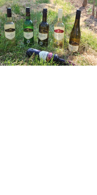 <br>Probiersortiment trocken<br>